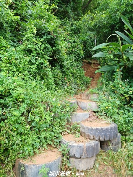 【台中潭子】風和日麗健行趣。 新田登山步道x聚興山2310413