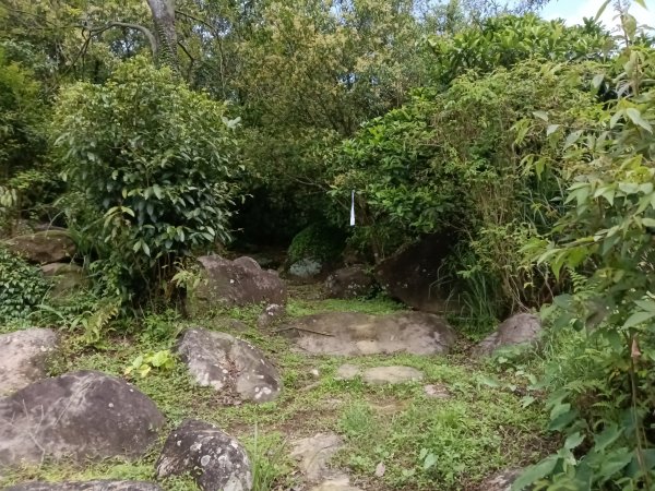 雙溪區三叉港+遠景古道+楊廷理古道+雞母嶺街O型2758628