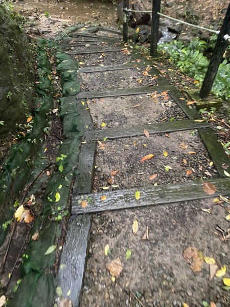 20250705-Ep.03六寮古道-2025森遊竹縣皮皮獅探險隊2851468