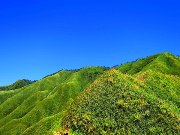 走聖母與三角崙山步道 再探神級抹茶山698506