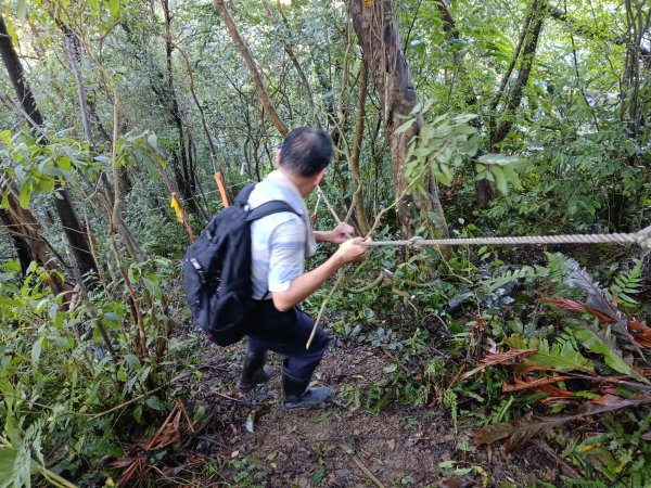 雙溪區雙坪一號橋+盤山坑山+土地公山+474峰+石硿子越嶺古道O型2936403