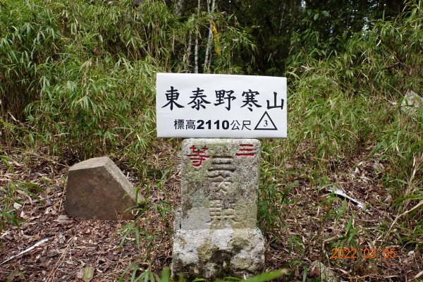 新竹 尖石 東泰野寒山