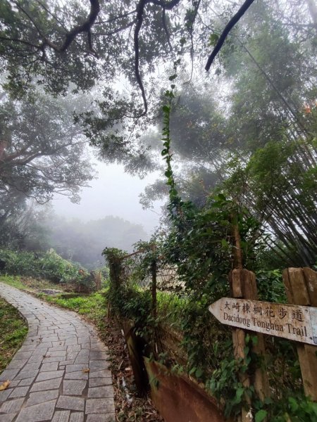 九讚頭車站-大崎棟.茶亭.逃學.騎龍古道20幾K繞大O2972507