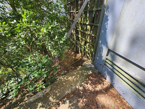 20260223柯子湖山菜堂山尖山沙湖壢山與寶山水庫基石3012628