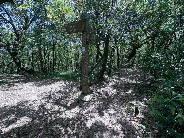 台北大縱走第四段2766856