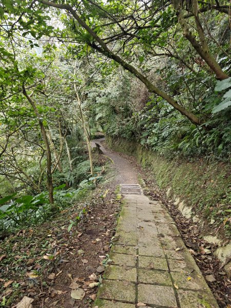 2026-0219外按-烏塗溪步道3005770