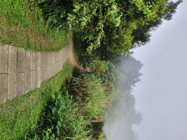 小觀音山木棧道，水源町公園，寶藏巖藝術村，五分山，頂子寮山，望古瀑布，石碇外按古道，烏塗溪古道1648149