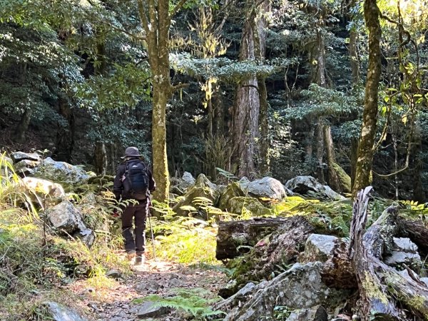 船型山環走大雪山210林道2978020