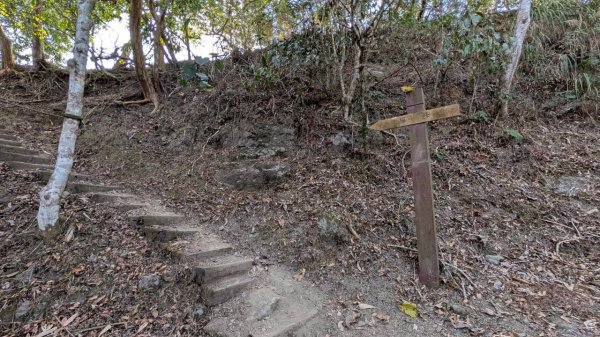 竹仔尖山步道3002518