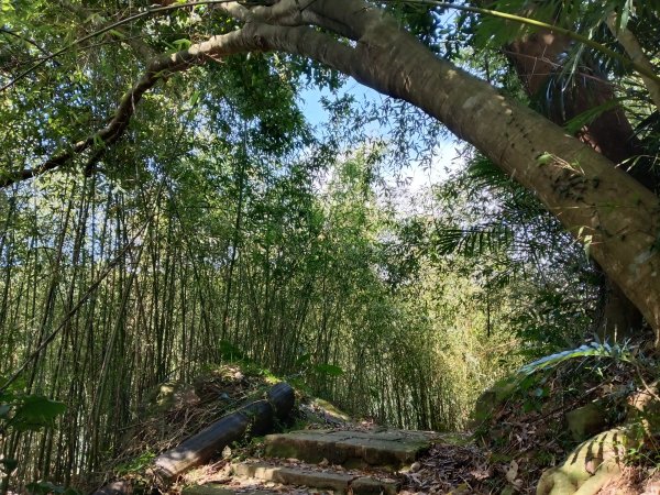 士林區礁坑橋+平溪步道+鵝尾山水田步道+大坪尾山+平菁步道O型2995892