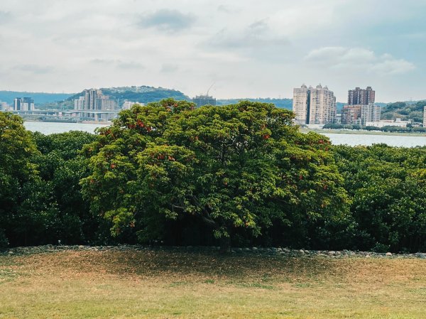 2023 臺北大縱走 8：捷運關渡站至華江雁鴨自然公園(上)2079508