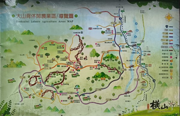 2025/11/02_大崎棟古道+騎龍古道+逃學步道2929052