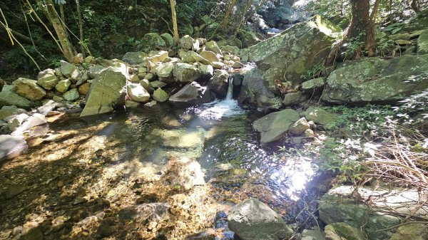 20250820金童玉女月牙天沖(金童嶺-玉女嶺-女王尖-月牙嶺-瑞光嶺-明月崙-清淨嶺-文筆嶺-清2872739