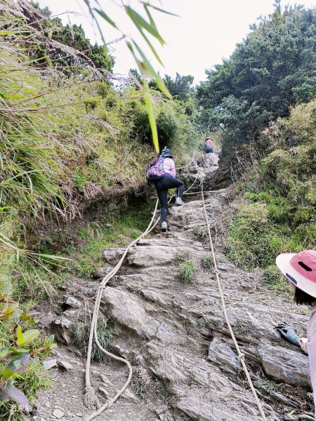 2023探索關山嶺山聚焦雲霧世界2344156