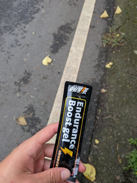 2025-06-14 臺北大縱走第一段來回2814738