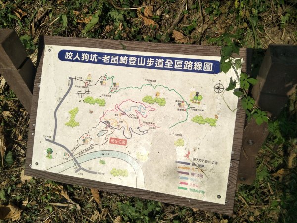 咬人狗坑登山步道(三汀山)1871259