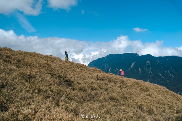 花季限定的景色3063170