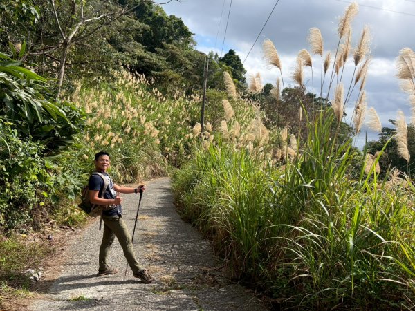 金瀧多越嶺古道【好適合新春開運的秘境古道】2987198