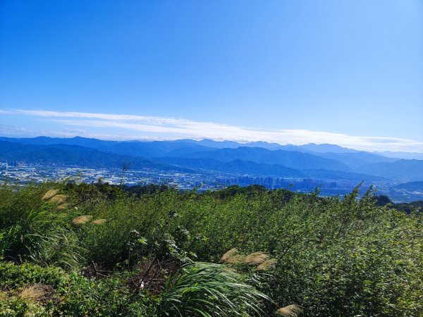 龜山福源山-牛灶坑山-鶯歌火車站走春遊2701323