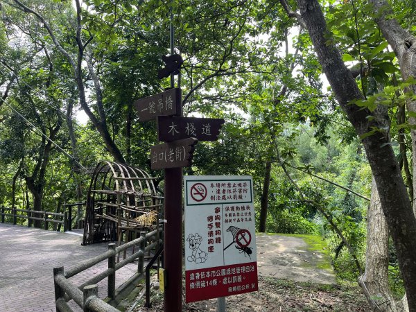 [百山百鳥尋旅-03/15] 2025_0817 虎形山公園步道2863117