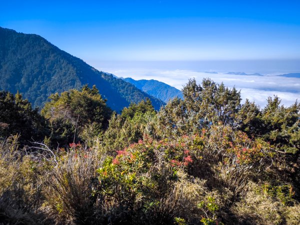 2026-02-09 庫哈諾辛山2998902