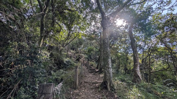 114.12.07筆架連峰之旅2957042