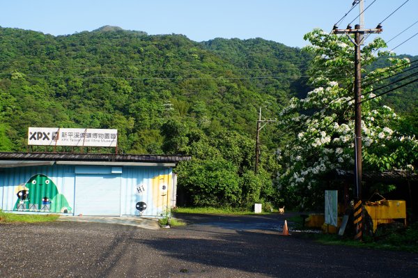 新北 平溪 頂子寮山、五分山3043953