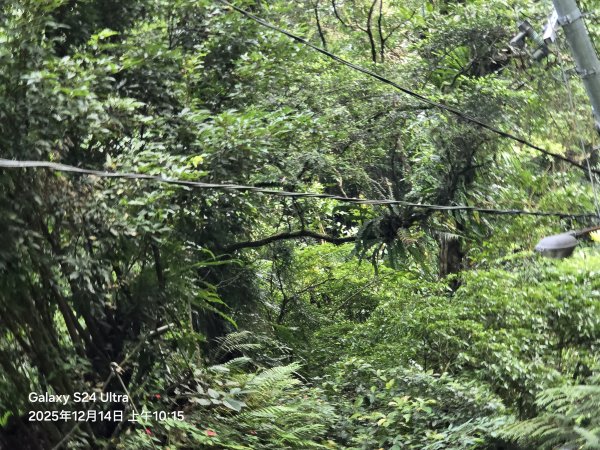 2025-12-14微笑山線：【二格山系】銀河洞越嶺段2962134