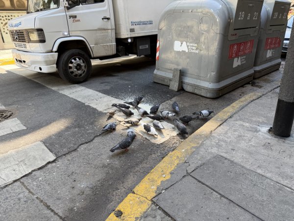 [紐約馬之行-54] 2025_1113~14 義大利廣場2953507