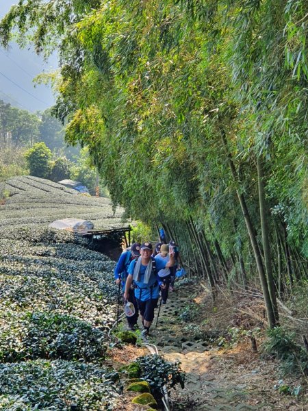 【雲嘉】後棟山連走大二尖山1478452