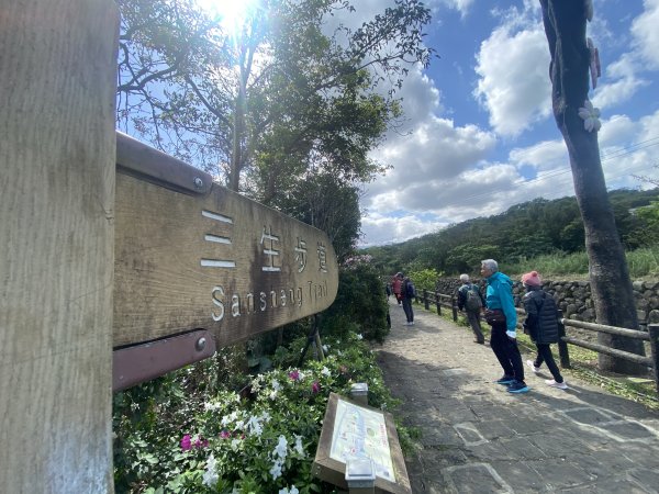 🚗從淡金公路出發｜三生步道櫻花與田園風光・春日療癒散步3018727