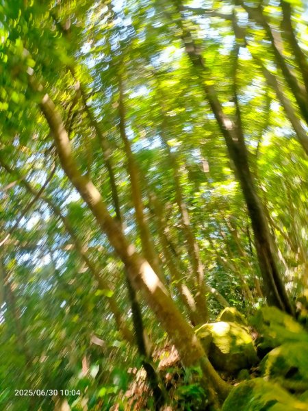 白石湖+打鐵寮古道2824160