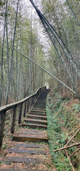 2025-01-19孝子路步道、大巃頂2694246