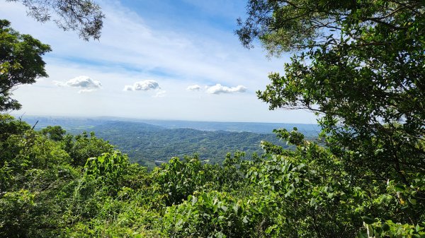 2022.06/05-新竹芎林-中坑山／飛鳳山1730236