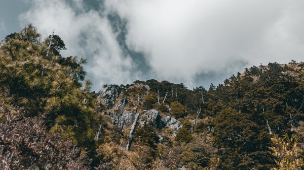 |百岳|玉山前峰1267049