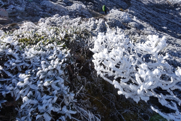 1051216~19雪山主東北下翠池80598