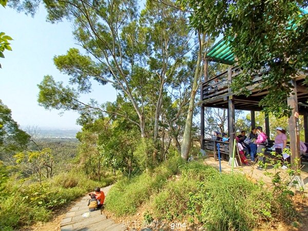 【台中大肚】綠蔭成徑。 大肚萬里長城步道O繞2790775