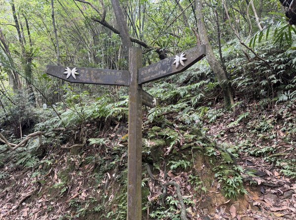 [淡蘭古道] 2026_0531 北路第一段_燦光寮古道(下)-牡丹溪畔3070949