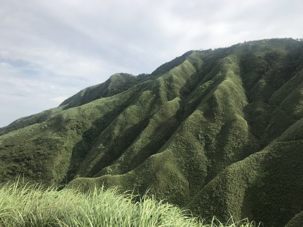 抹茶山