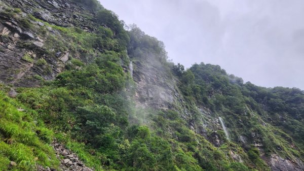 20230730 苗栗加里山午後雷陣雨篇（中級山小百岳）2235169