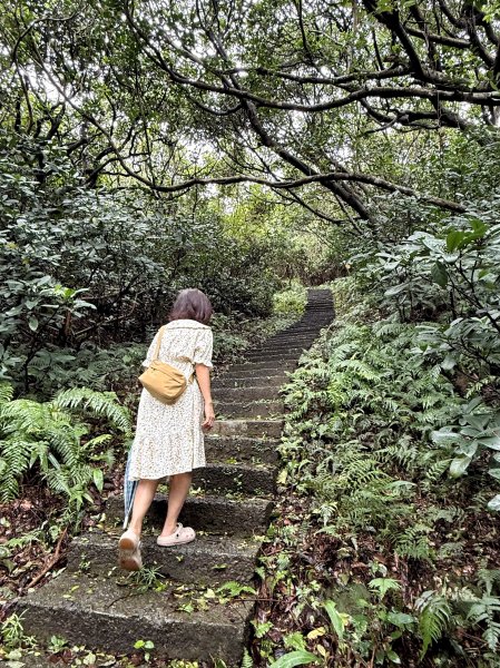 野柳地質公園、野柳岬山步道202507212863855