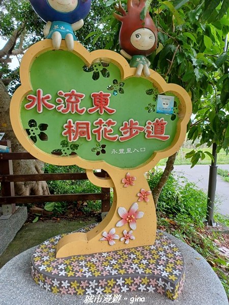 【台中外埔】沿著水圳散散步。 外埔水流東桐花步道1731445
