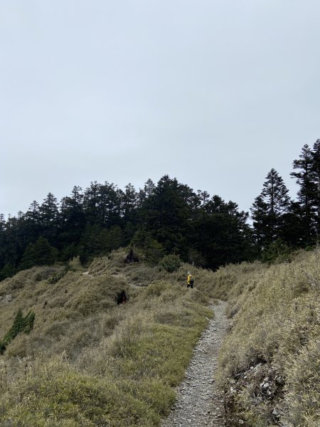 20230515-16玉山前西峰+遠望雨中的主東北2436696