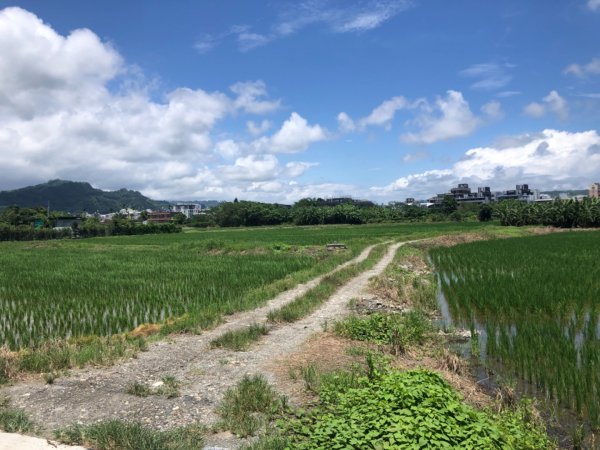 台東市利家3-1016、台東市卑南社3-4222、台東縣太麻里鄉小百岳NO.94太麻里山一等三角點2246779