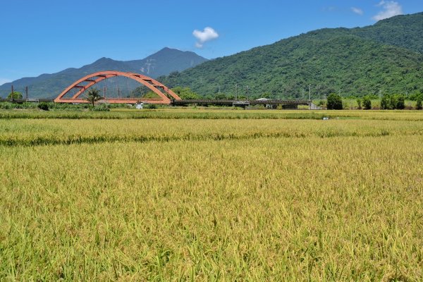 瓦拉米步道 佳心石板屋