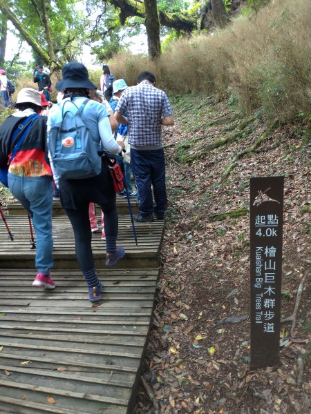 觀霧 檜山巨木群步道1090216