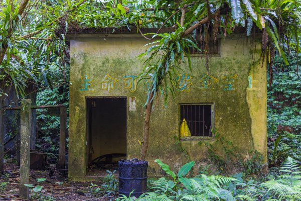 [新北]白雞山與裕峰煤礦遺址2891861