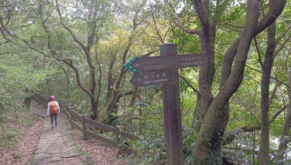 (姨婆趴趴走)第五十一集:台北冷擎步道、金包里大路(魚路古道)2757237