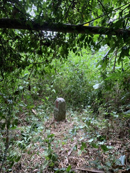 20251024台南邦埤山-三崁山2925697