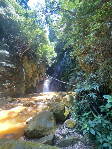 《陽明山秘境健行｜翠峰瀑布 × 天母古道 夏日涼爽路線》2852220
